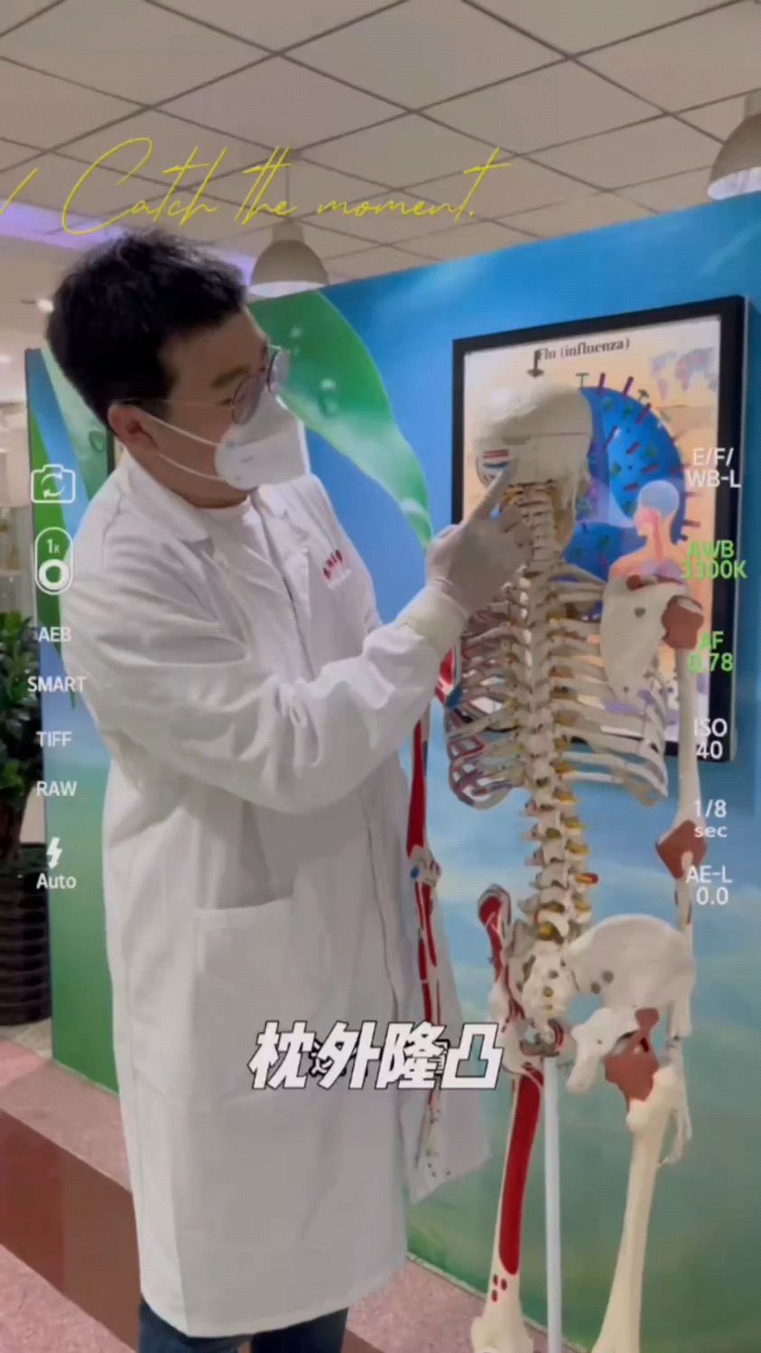 枕外隆凸结构功能介绍