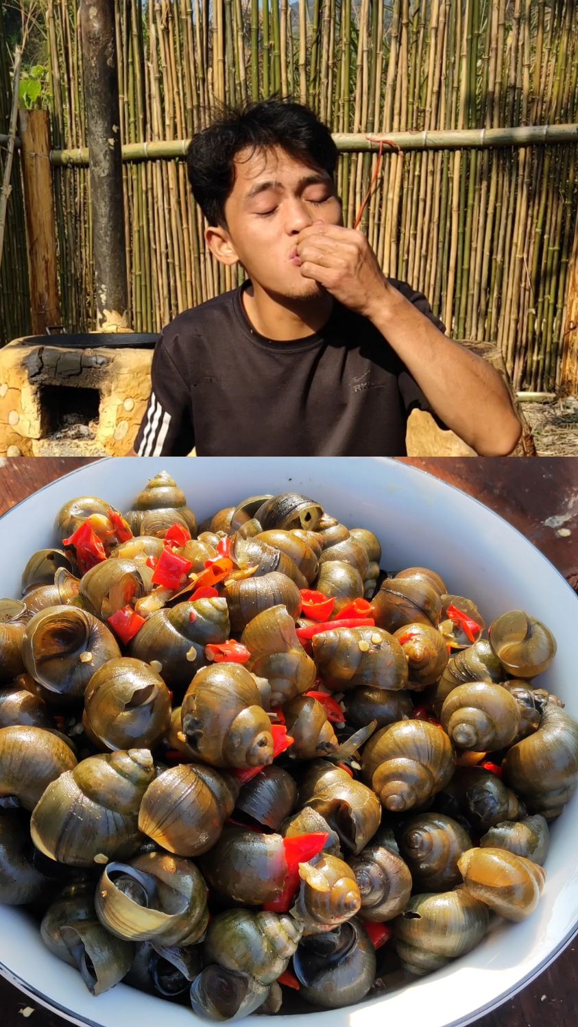 米酒焖田螺,简直人间美味!你说呢?