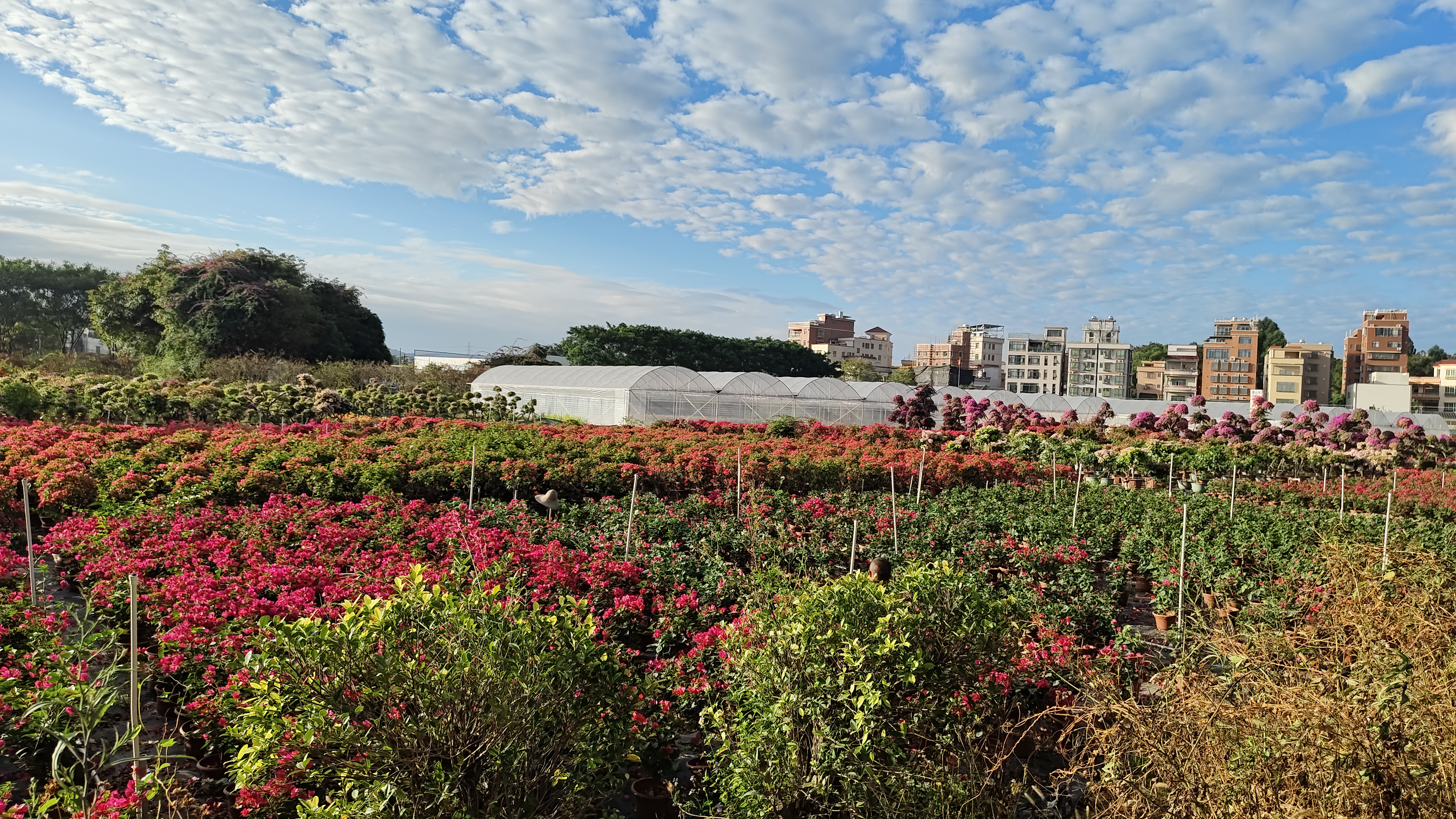 没钱的家庭基本都是低端的家庭,但其实最重要的并不