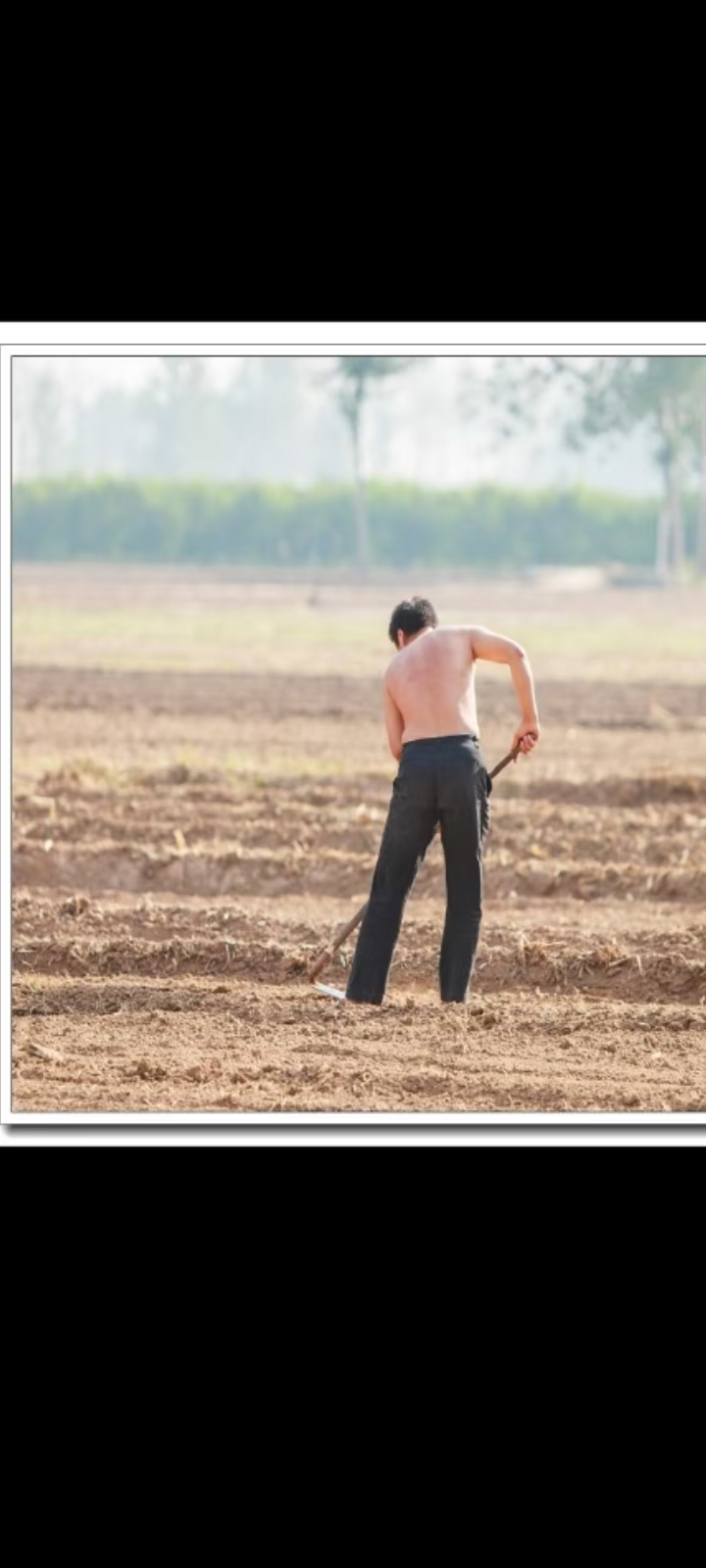 这位城里媳妇后悔嫁了一个农村老公,原因是她和老公