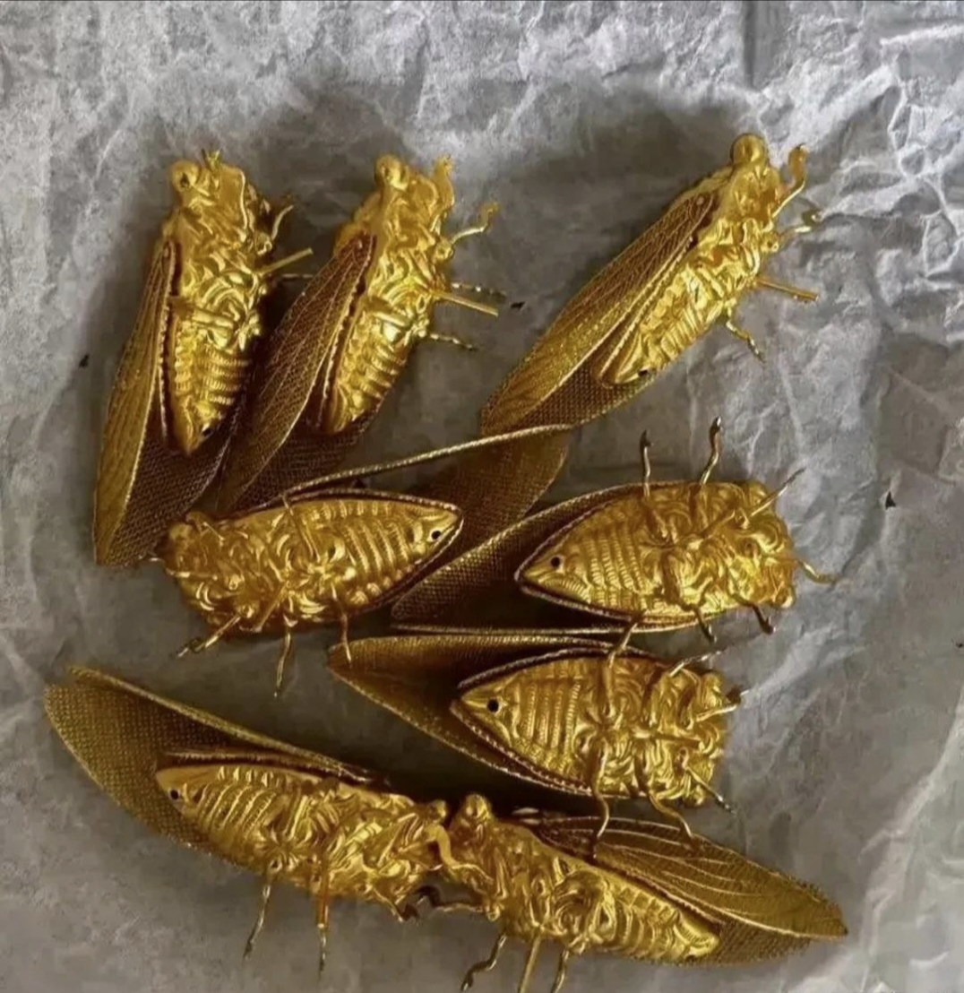 打开后,里面竟有八只金黄色类似小虫子的东西,把她吓得赶紧搁到一边