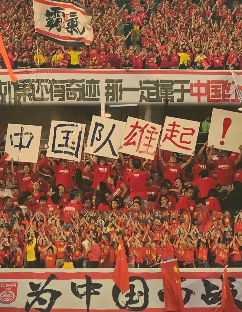 世界杯中 国出线 实力与荣相关图片1