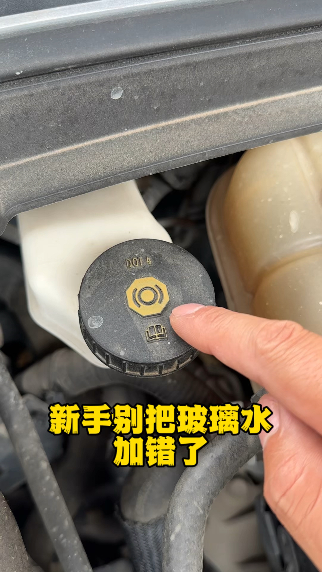 新手司机千万别把玻璃水加错位置了 #汽车知识分享