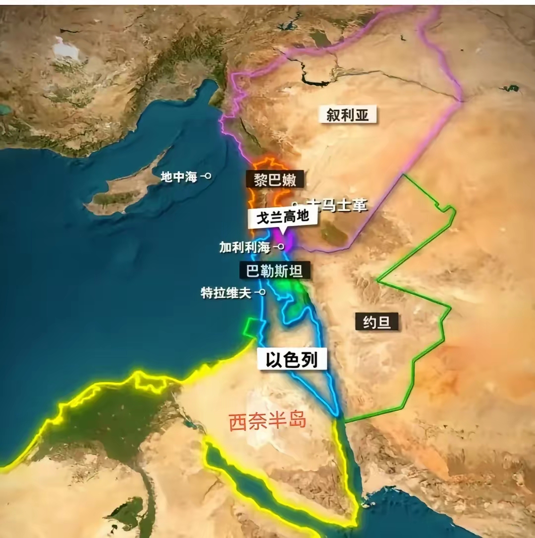 中东诸国组成这么一个有生命力的图案伊朗像头部土耳其像胳膊叙利