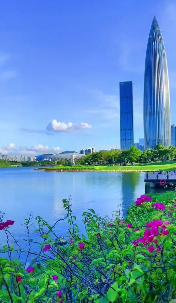 深圳湾公园拥有丰富的自然景观资源,草地,花坛,湖泊,栈桥等,为游客