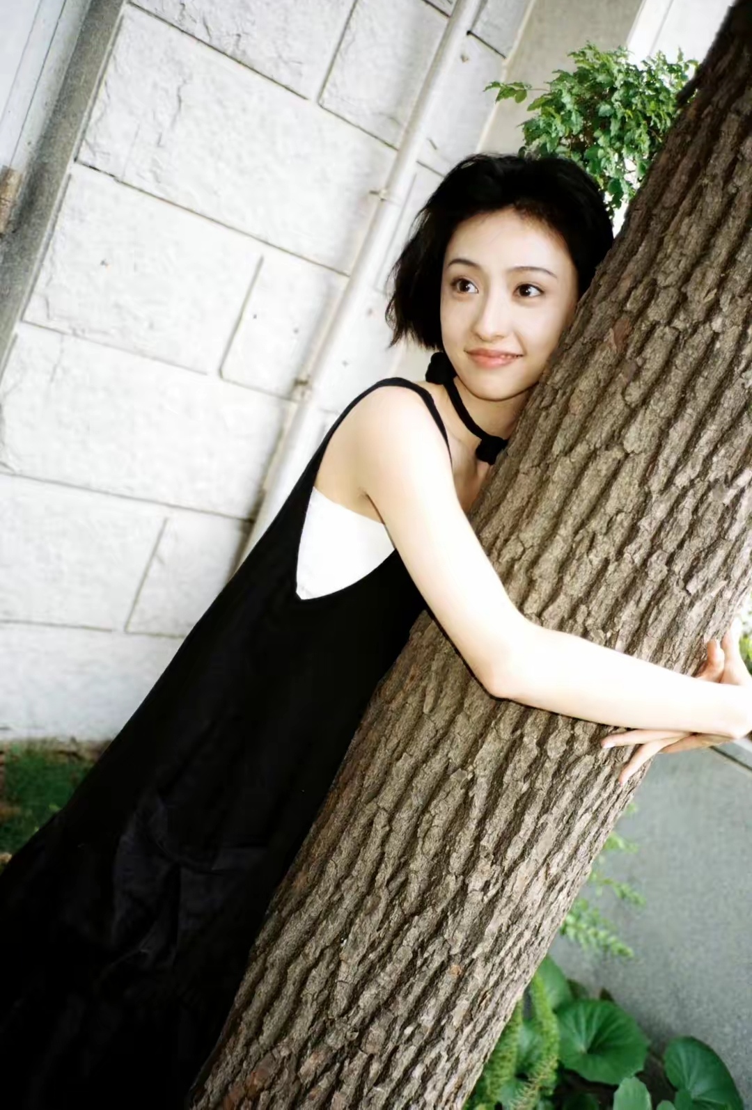 胡连馨精致短发端庄秀气一双水汪汪的大眼睛让人看着非常舒服