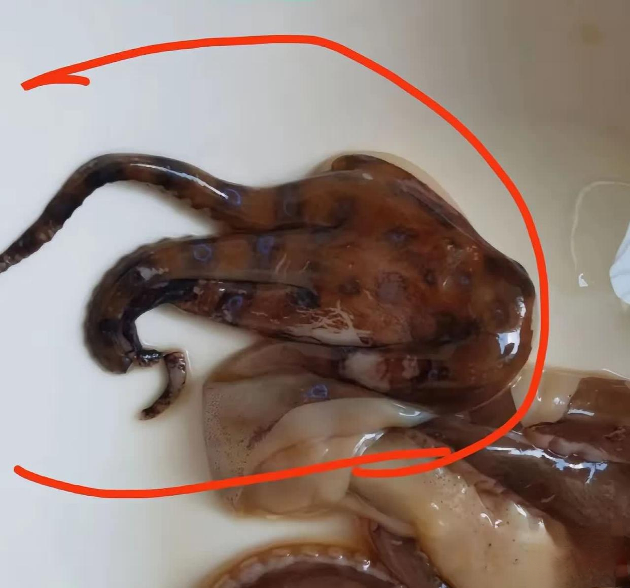 家人们,我刚刚真跟鬼门关擦肩而过!