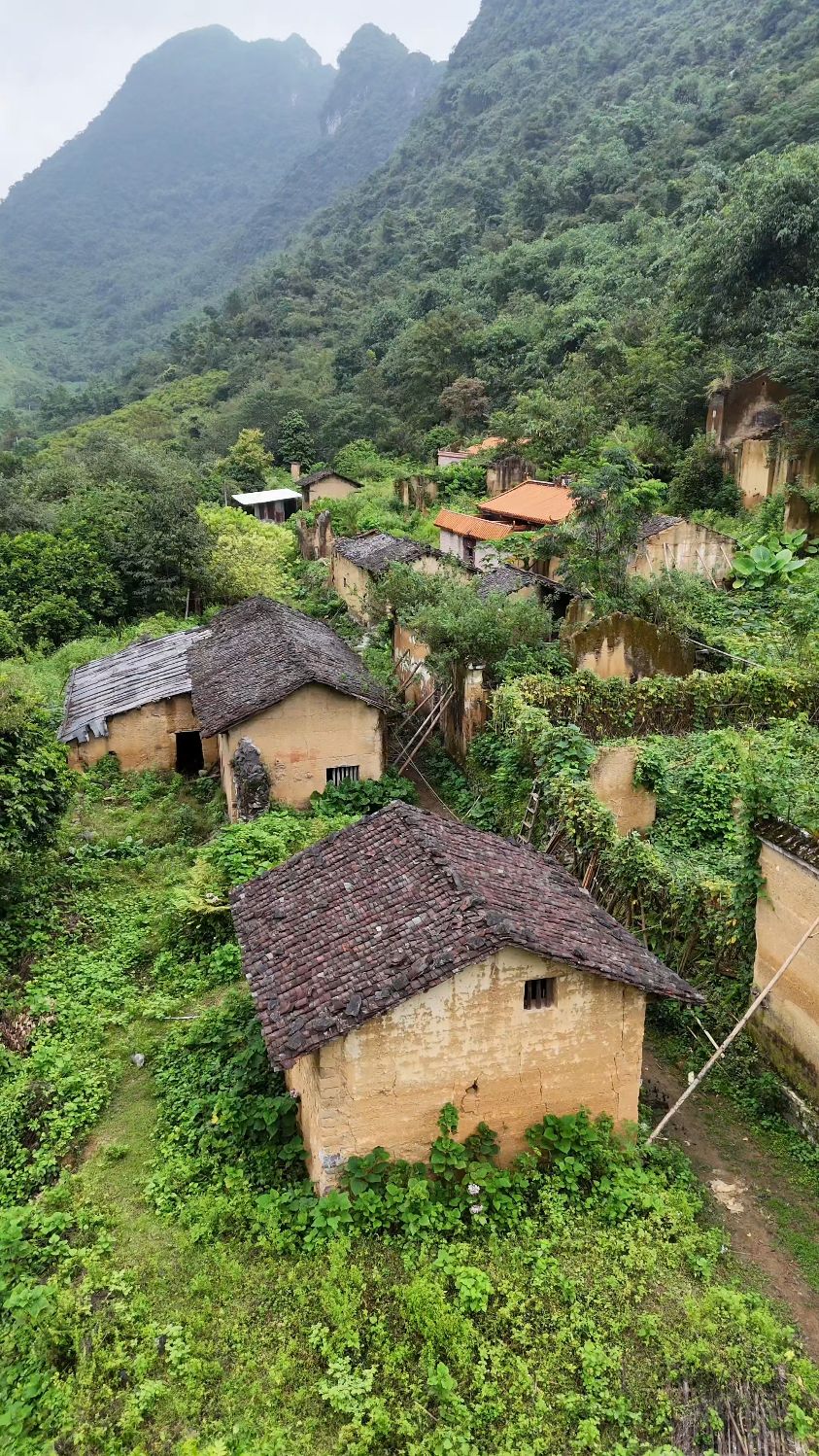 寂静的村庄,杂草丛生的老房子,这一切,终将消失在时光中