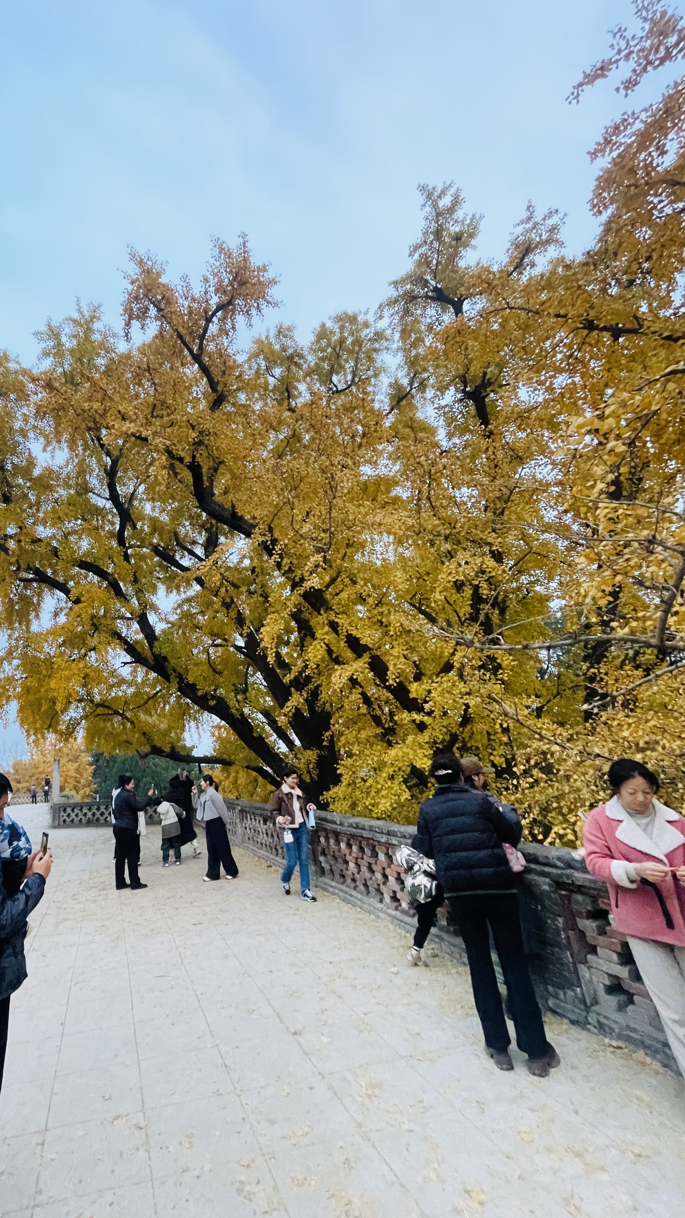 新乡辉县薄壁镇的白云寺