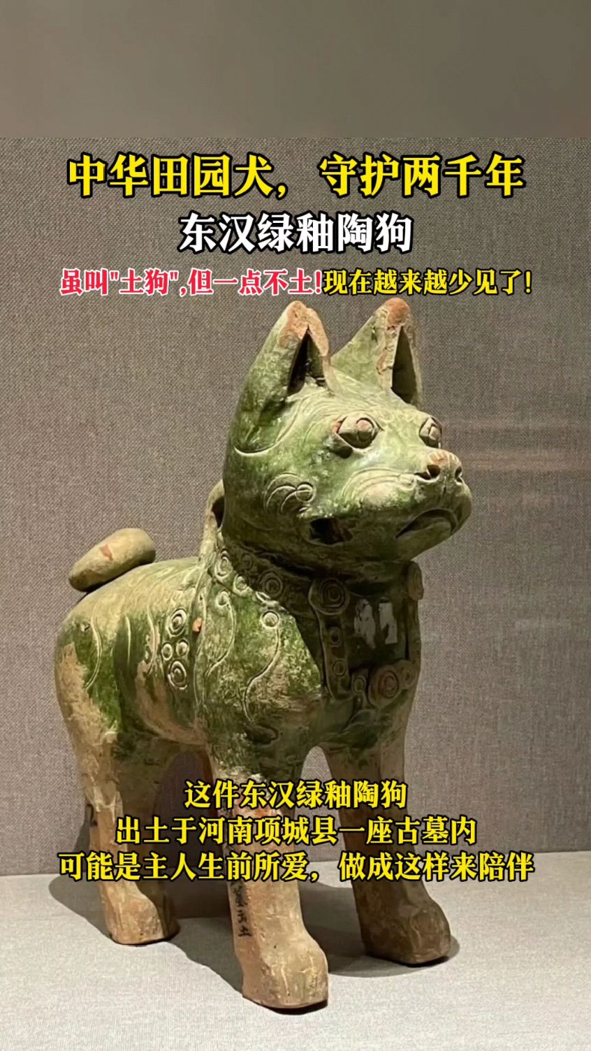 东汉绿釉陶狗.这种狗越来越少见了