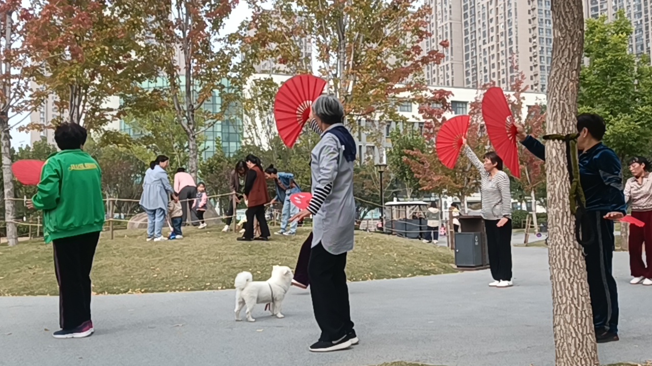 夕阳红功夫扇图片