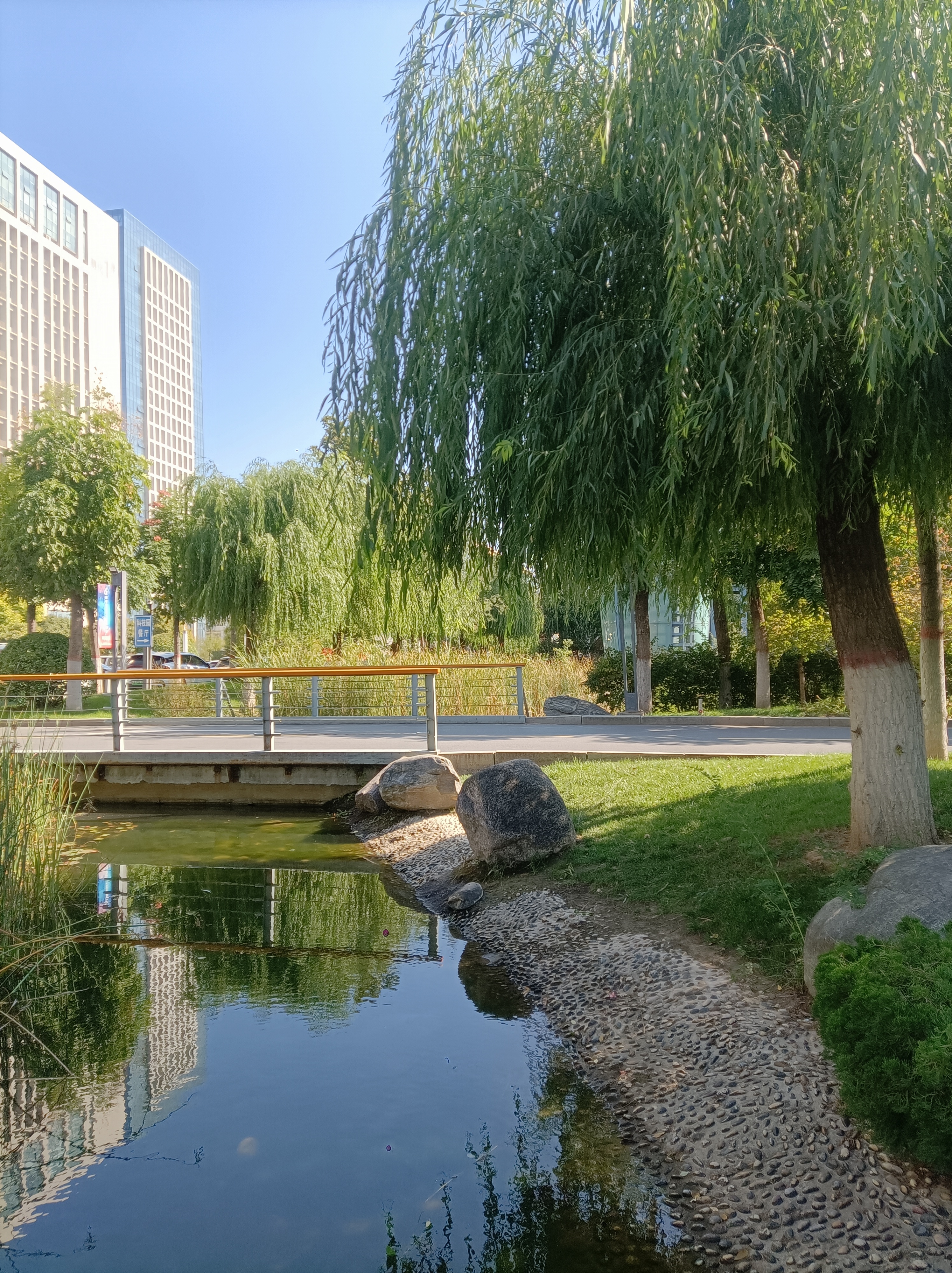 数码搜索种草计划# 大美郑州秋景如画,科技园秋高气爽秋景美,绿树成