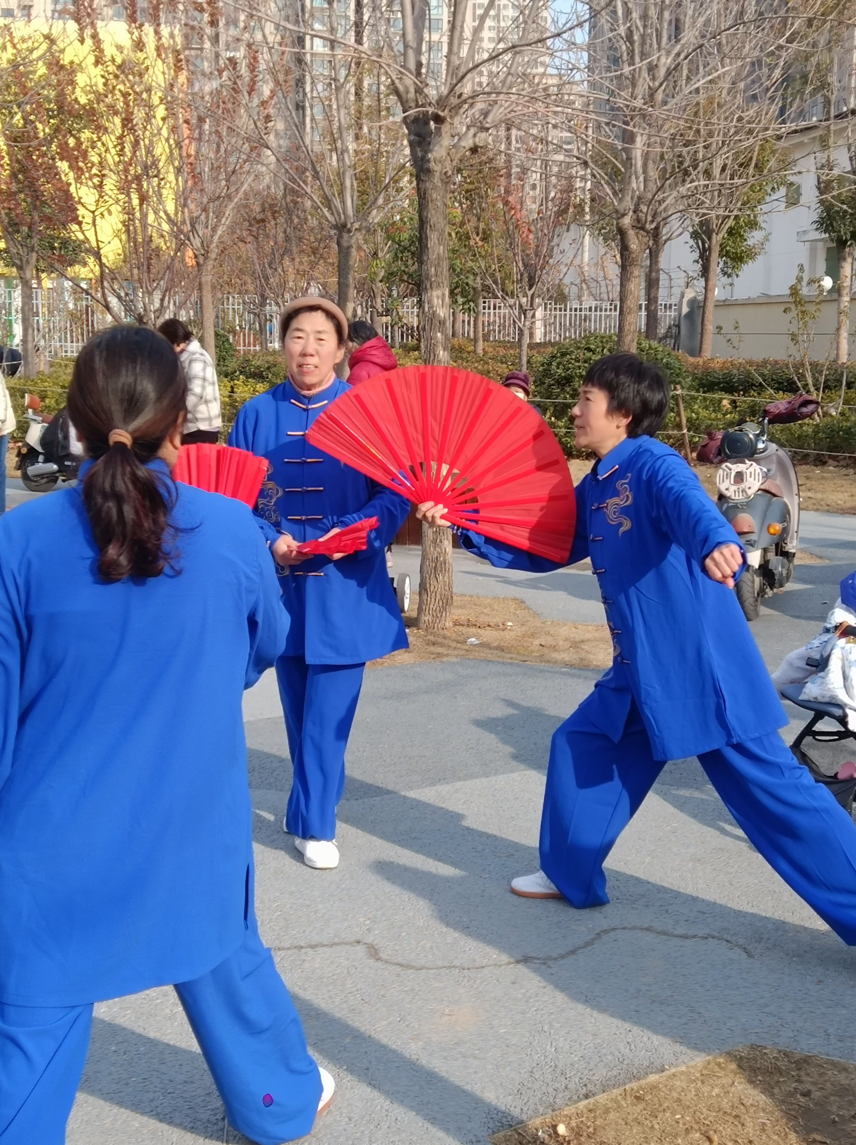 养生太极扇背向慢动作张广德(养生太极扇第一套第一段教学示范张广德?)