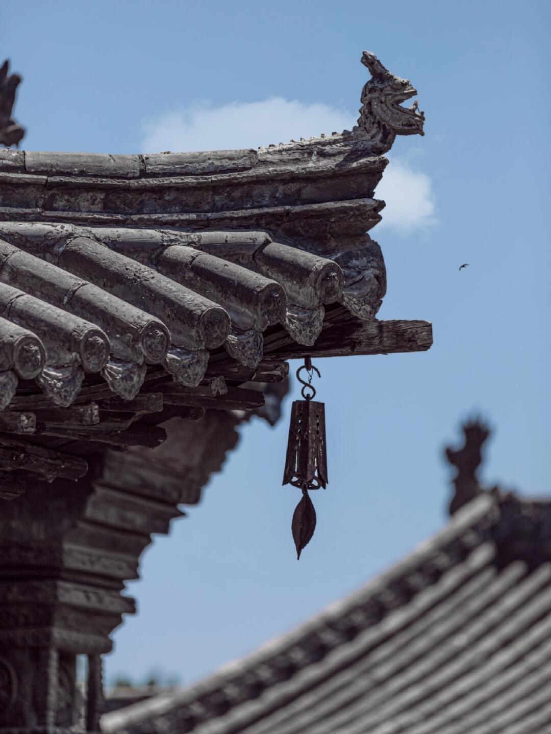 云雀和古建筑真是绝配,大同华严寺 雨后的华严寺引来了很多很多的云雀