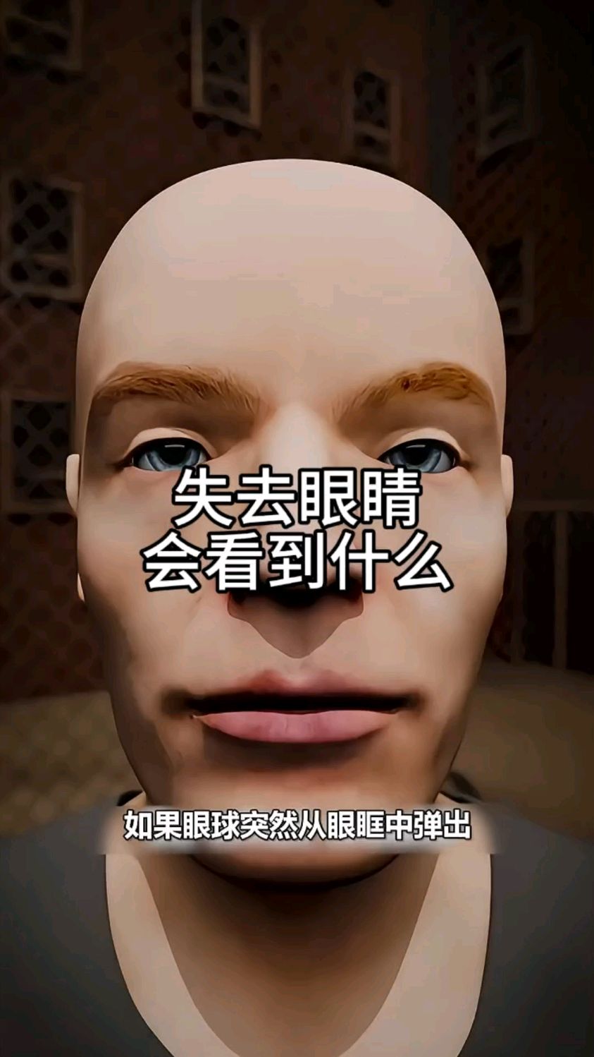 失去眼睛会看到什么