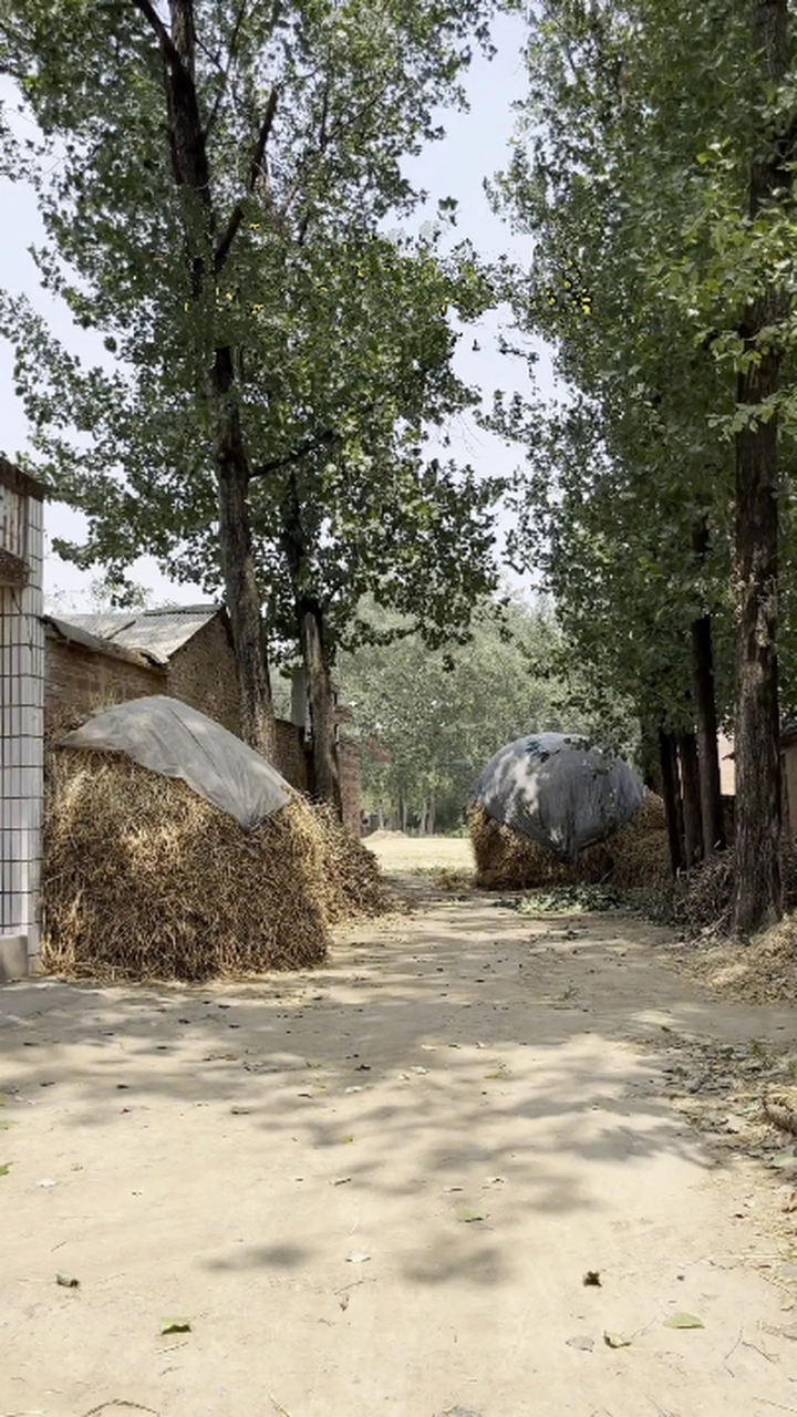 回不去了!这是上世纪90年代的农村,多少八零后童年的美好回忆啊!