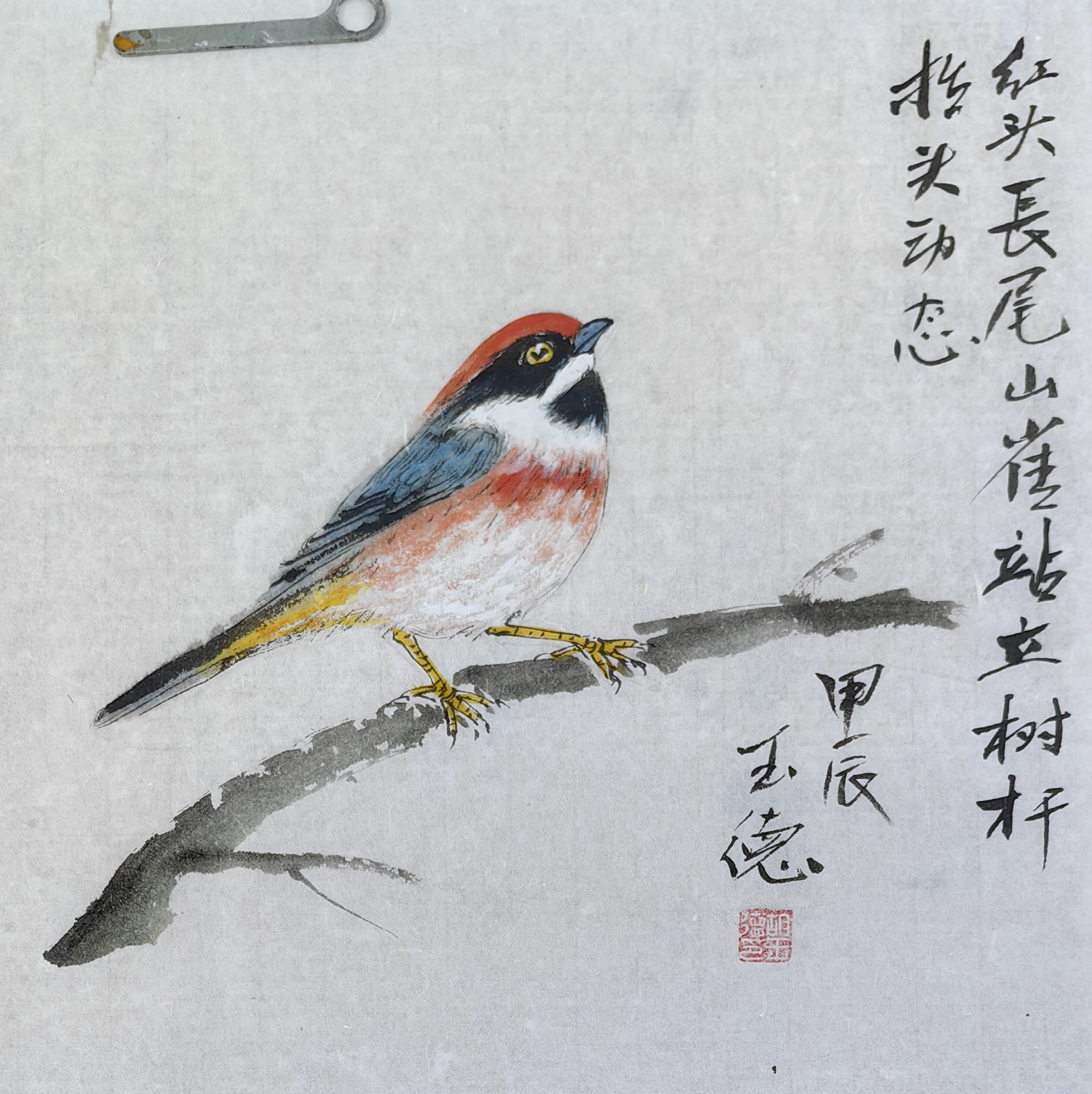 《愤怒的小鸟》红头长尾山雀国画小写意#动态连更挑战