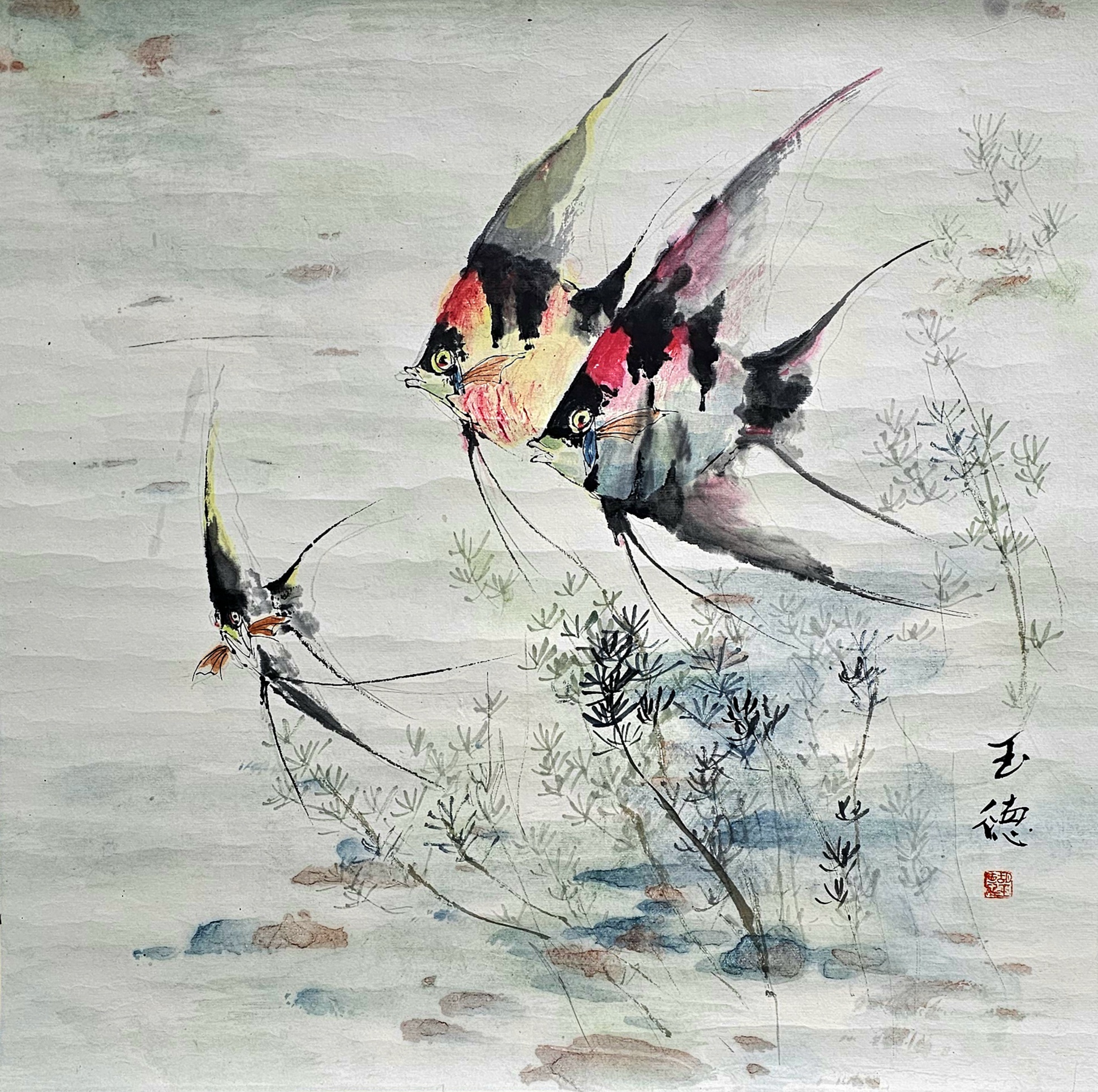 《神仙鱼》国画三尺斗方寓意美丽和宁静的生活环境