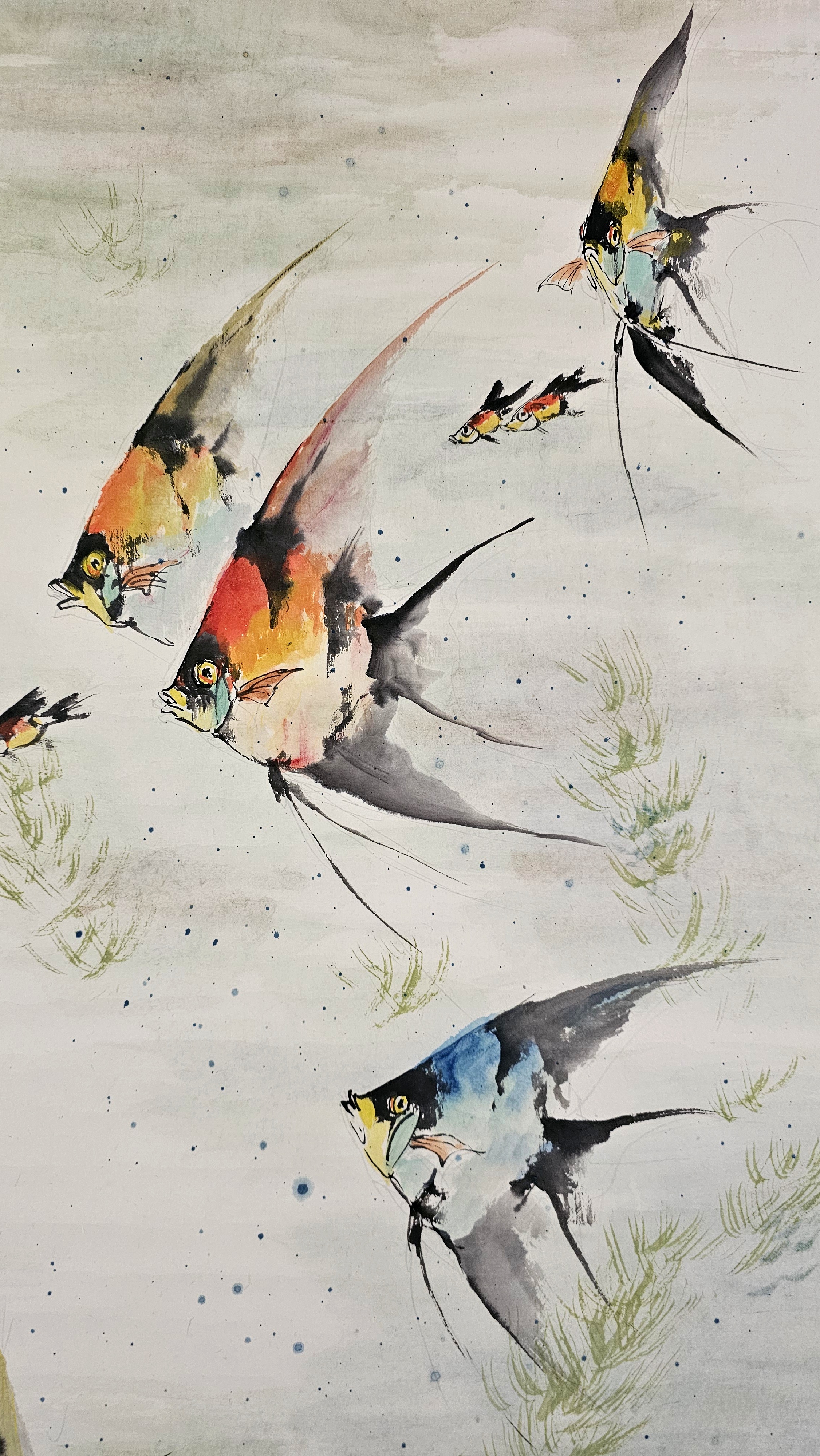 《溪流渺渺净涟漪,鱼跃鱼潜乐自知》神仙鱼国画小写意