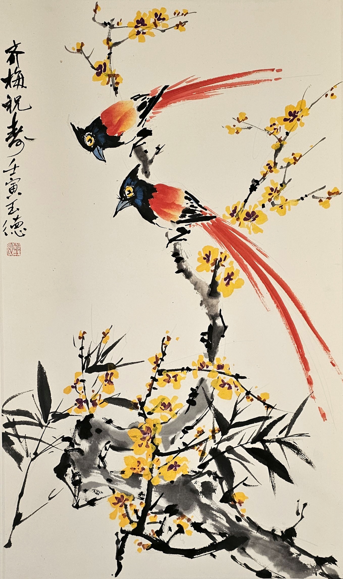 国画寿带鸟作品欣赏图片绶带鸟国画图片寿带鸟国画作品绶带鸟图片大全