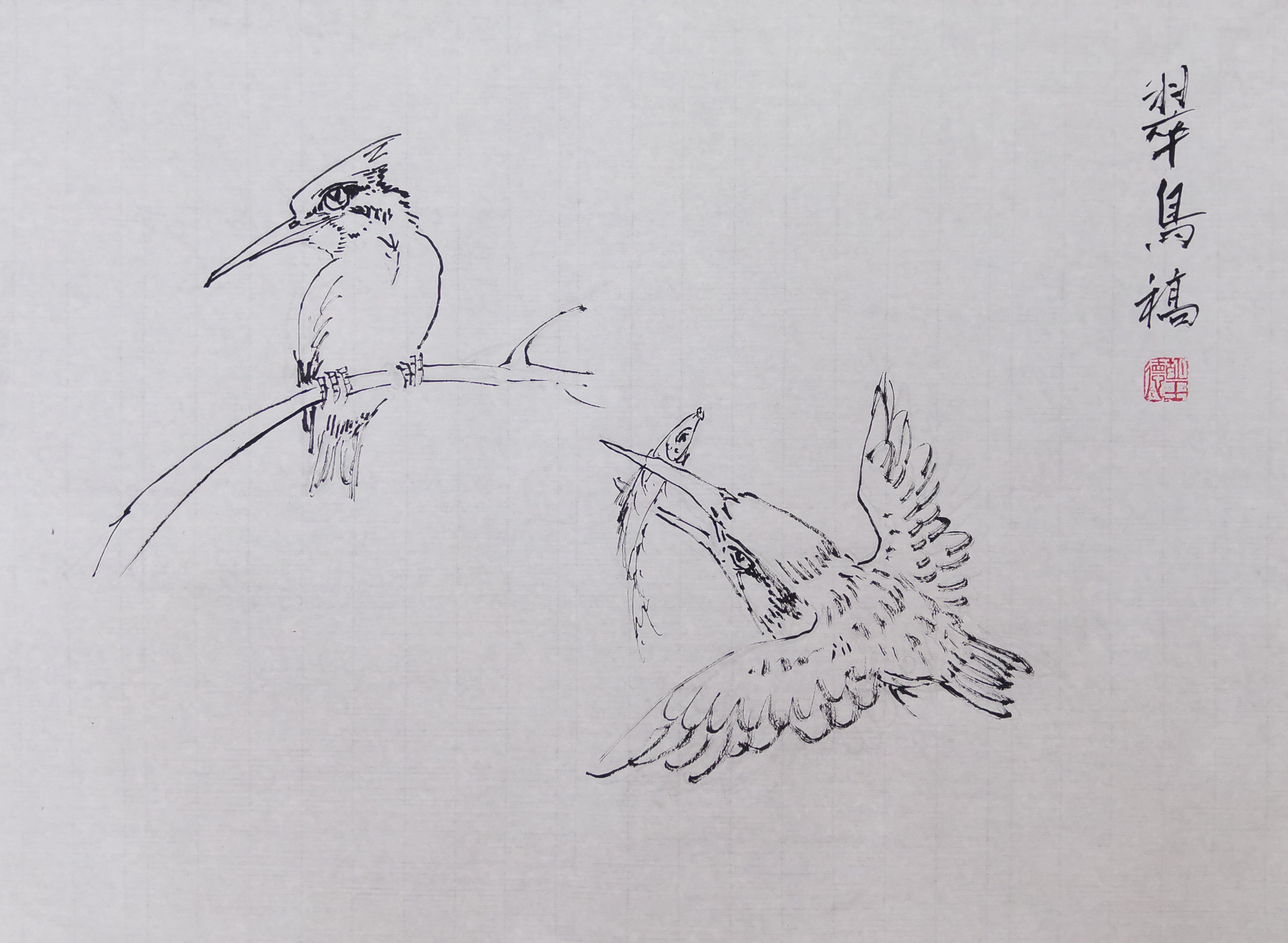 翠鸟不同动态国画白描稿