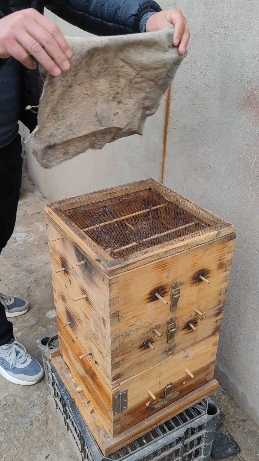 蜂布在蜂箱里,起到什么作用?养蜂为什么要用蜂布