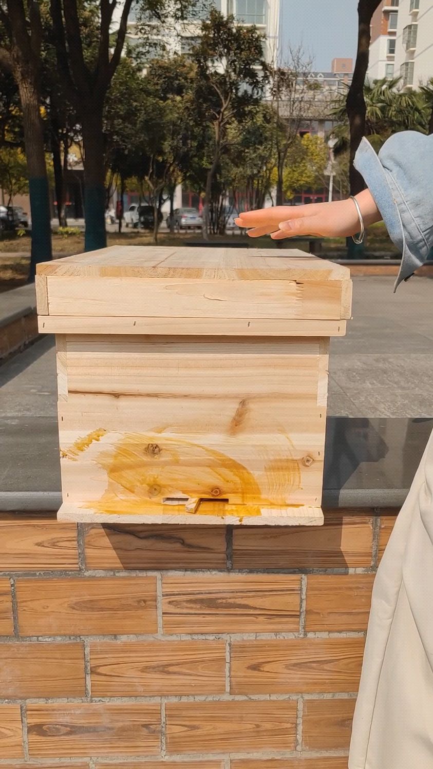 组装好发货的成品蜂箱,搭配纯蜂蜡巢框,直播间下单更优惠!