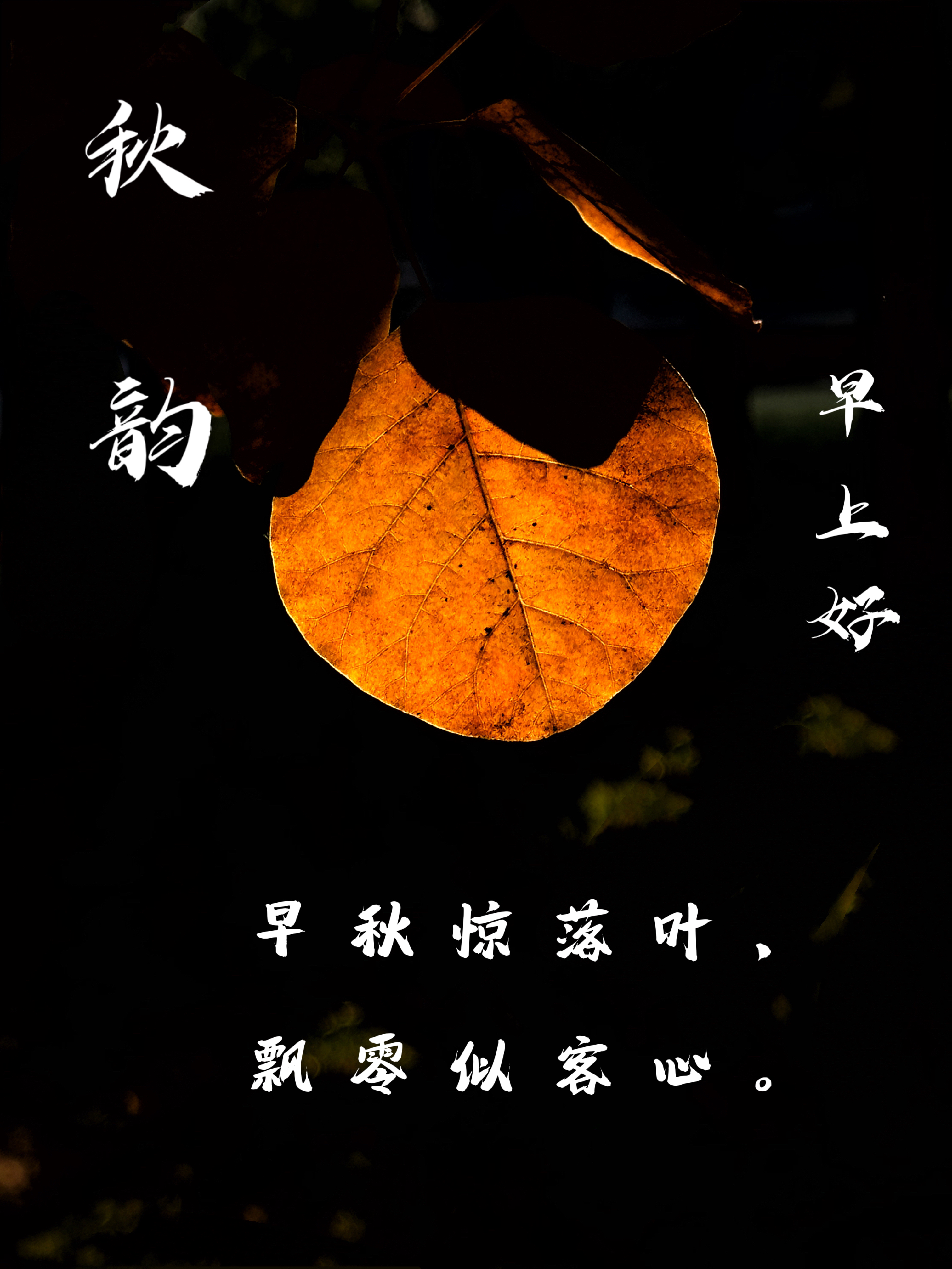 这首诗以落叶为主题,通过对落叶飘零的描写,抒发了诗人客居他乡的