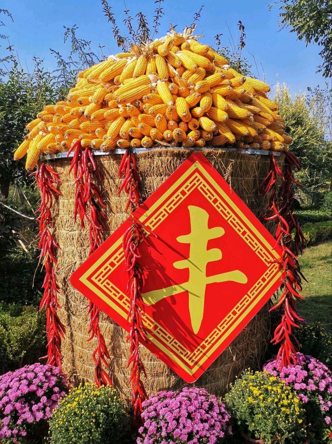 玉米轮换粮20万吨起