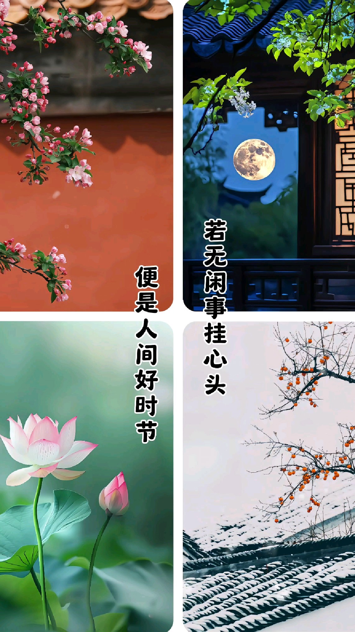 春有百花秋有月歌曲(春有百花秋有月歌曲完整版)
