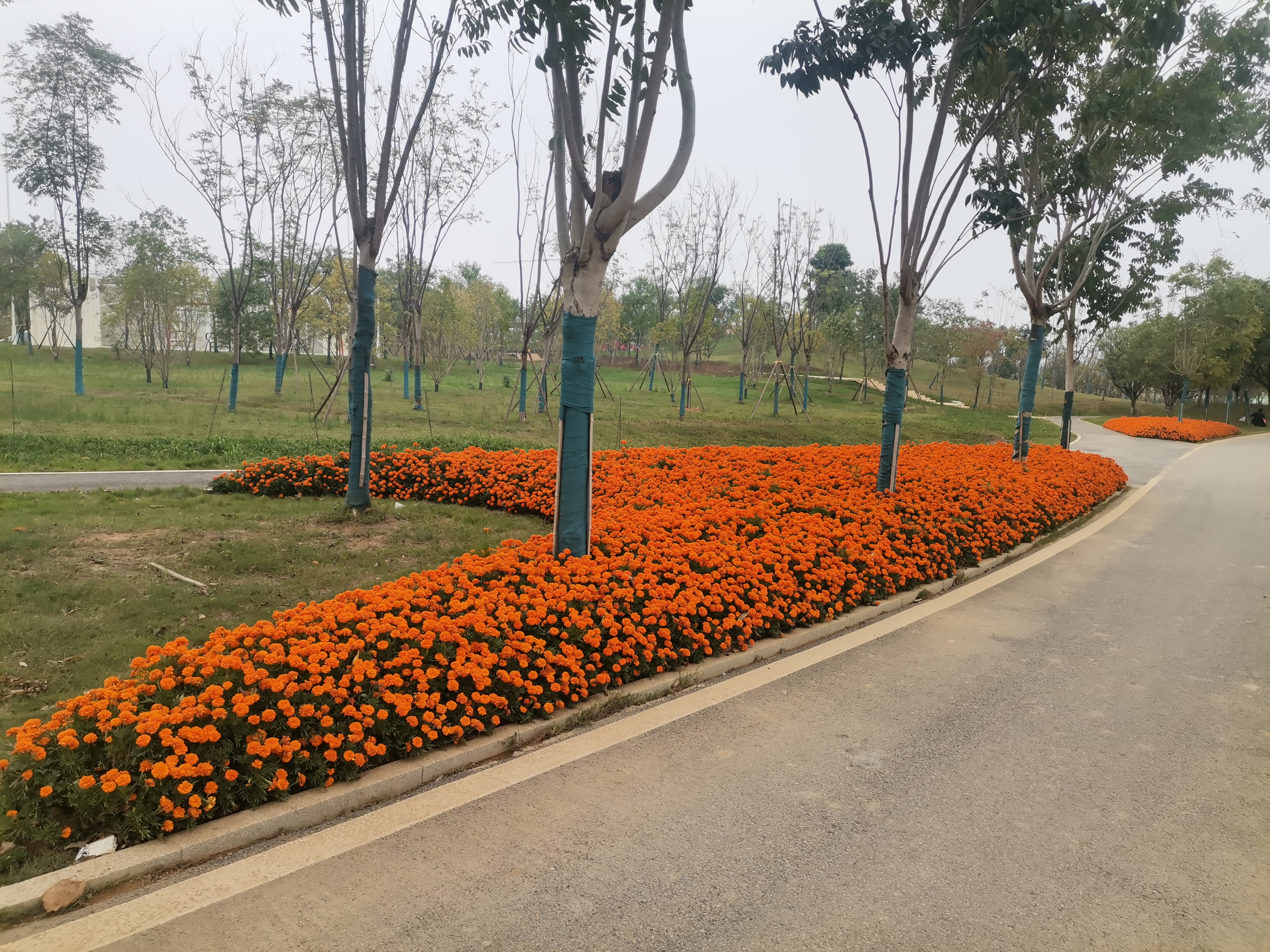 大泽湖公园位于长沙市望城区,被誉为"长沙最后的城市