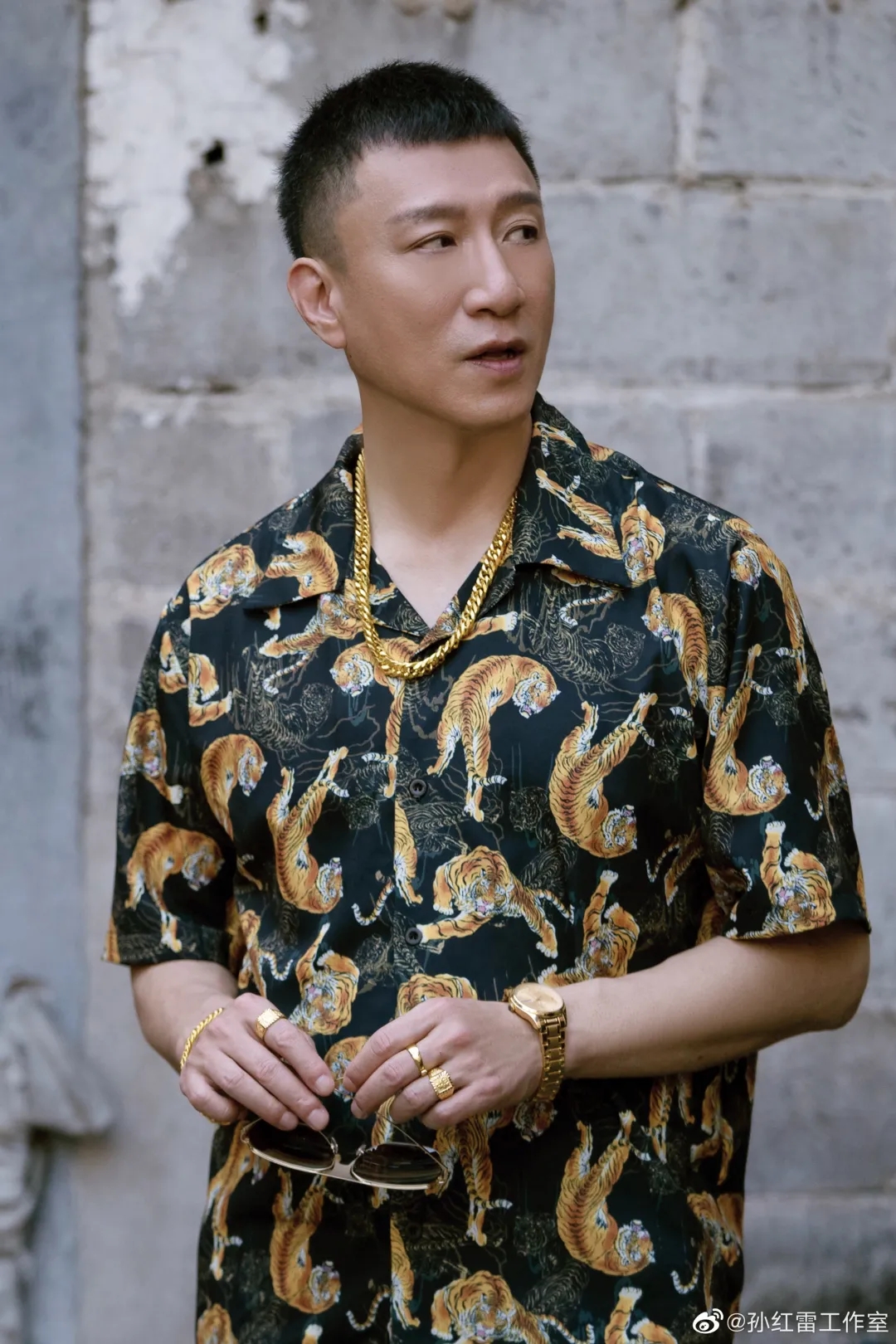 移民转移资产等严重违法行为,工作室孙红雷图片孙红雷纹身扫黑风暴