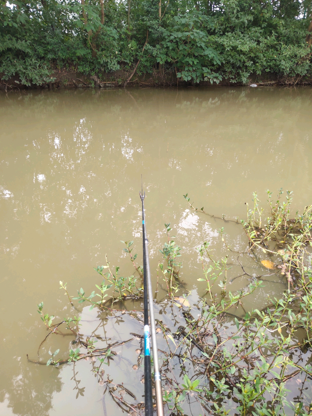 动态连更挑战# 真让老钓鱼人高兴,大降温之后钓点出现了三个不一样的