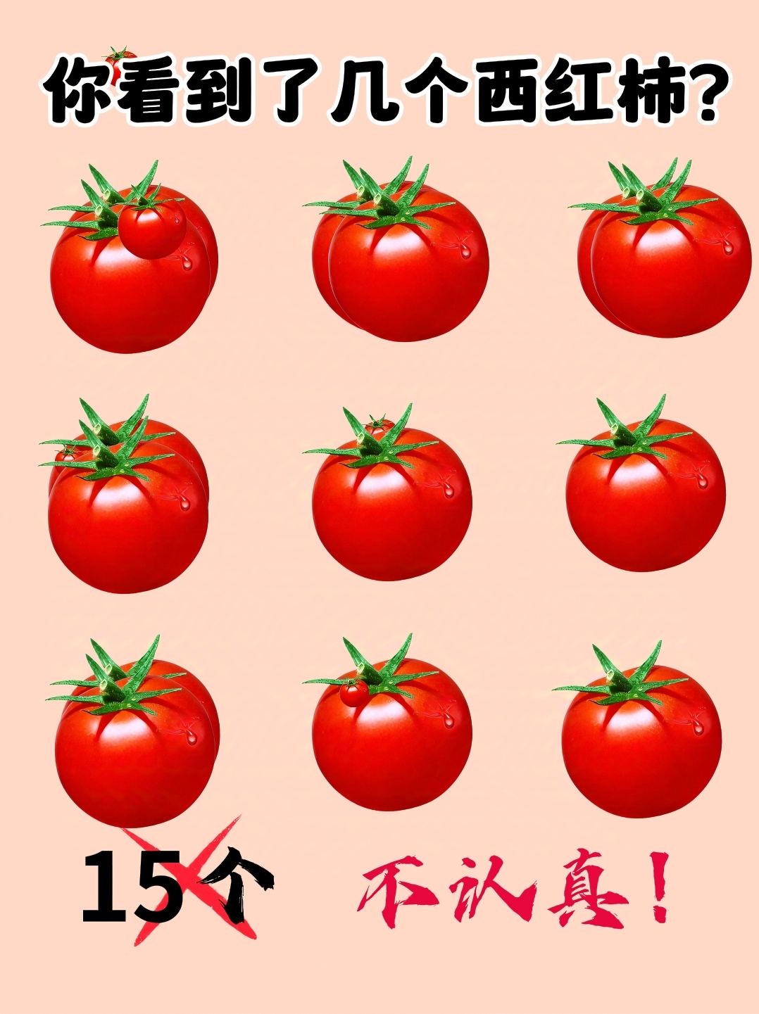 考眼力: 好多红通通的西红柿, 表皮上还有水珠, 看起来真新鲜!