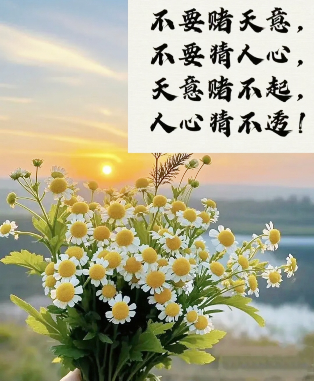 真相令人惊醒99%的所谓渣男不过是这个时代的照妖镜