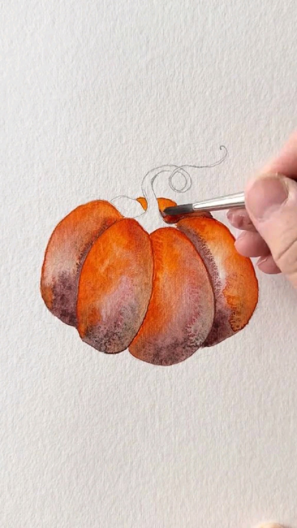 教大家用水彩画南瓜