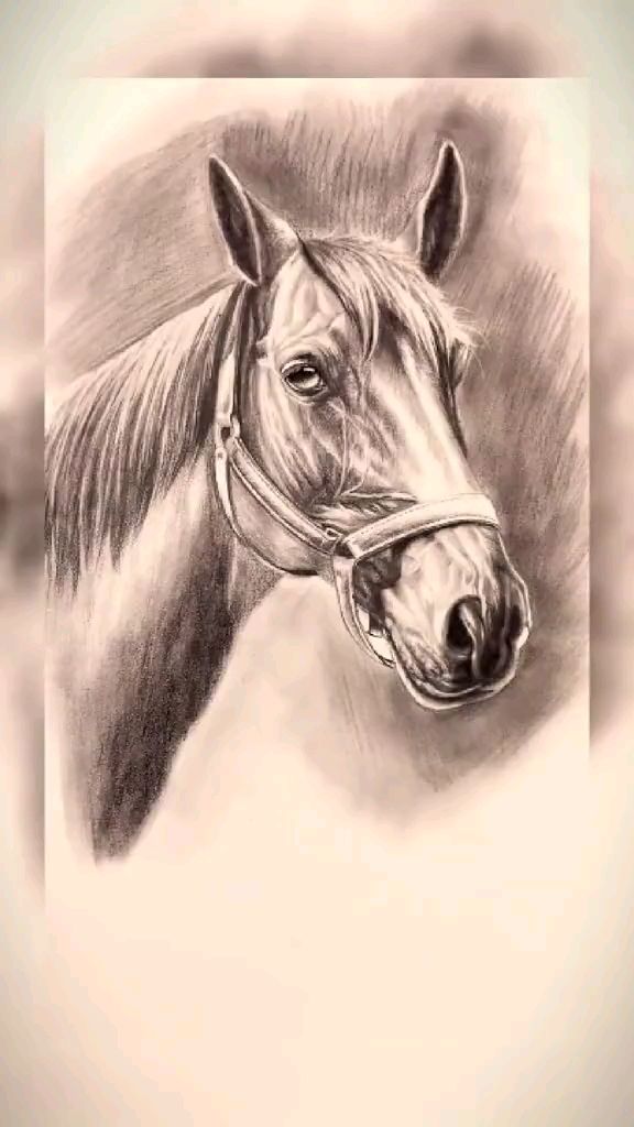 如何用铅笔画一匹马