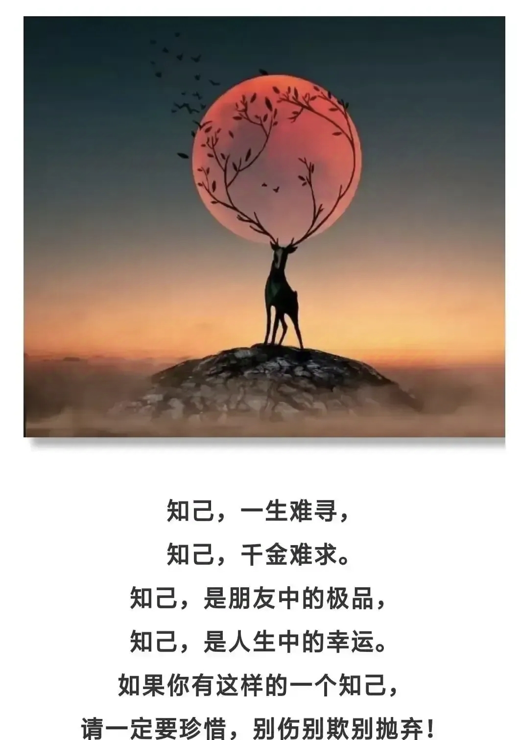 人之相识,贵在相知;人之相知,贵在知心,知心才能相惜,相惜才能永