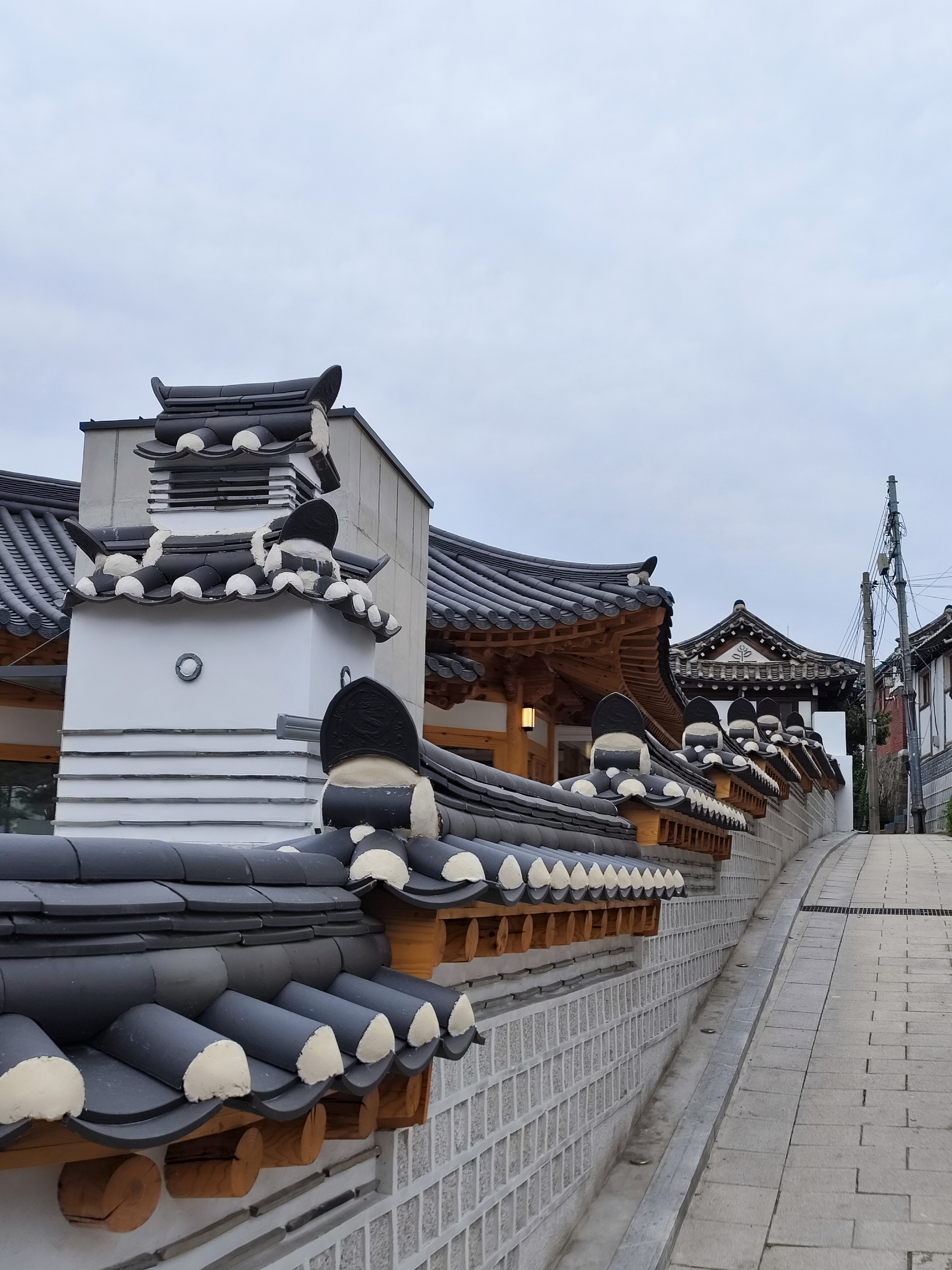 韩国有好多小院儿,院外种着很多花儿