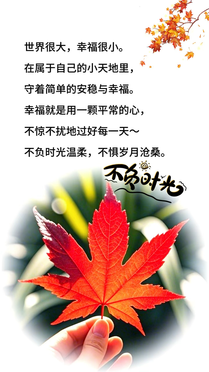 不负时光温柔,不惧岁月沧桑