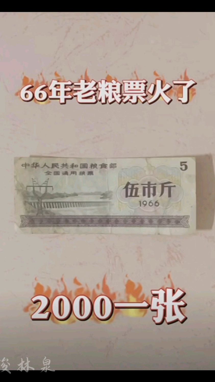 粮票,伍市斤,1966年