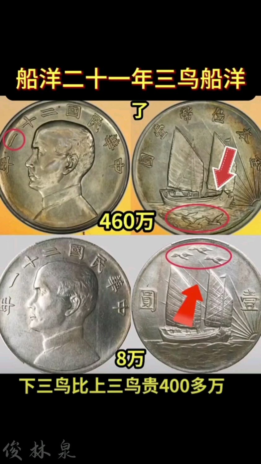 一个币一个鸟(一个币一个鸟读什么字)