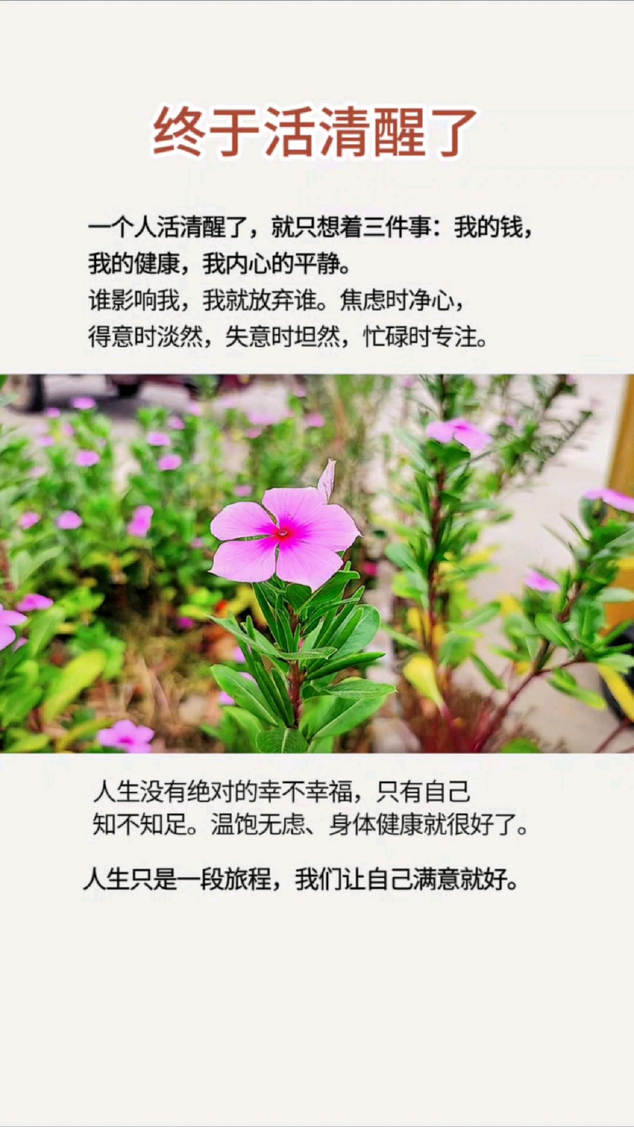 一个人活清醒了,就只想三件事:我的钱,我的健康,我内心的平静