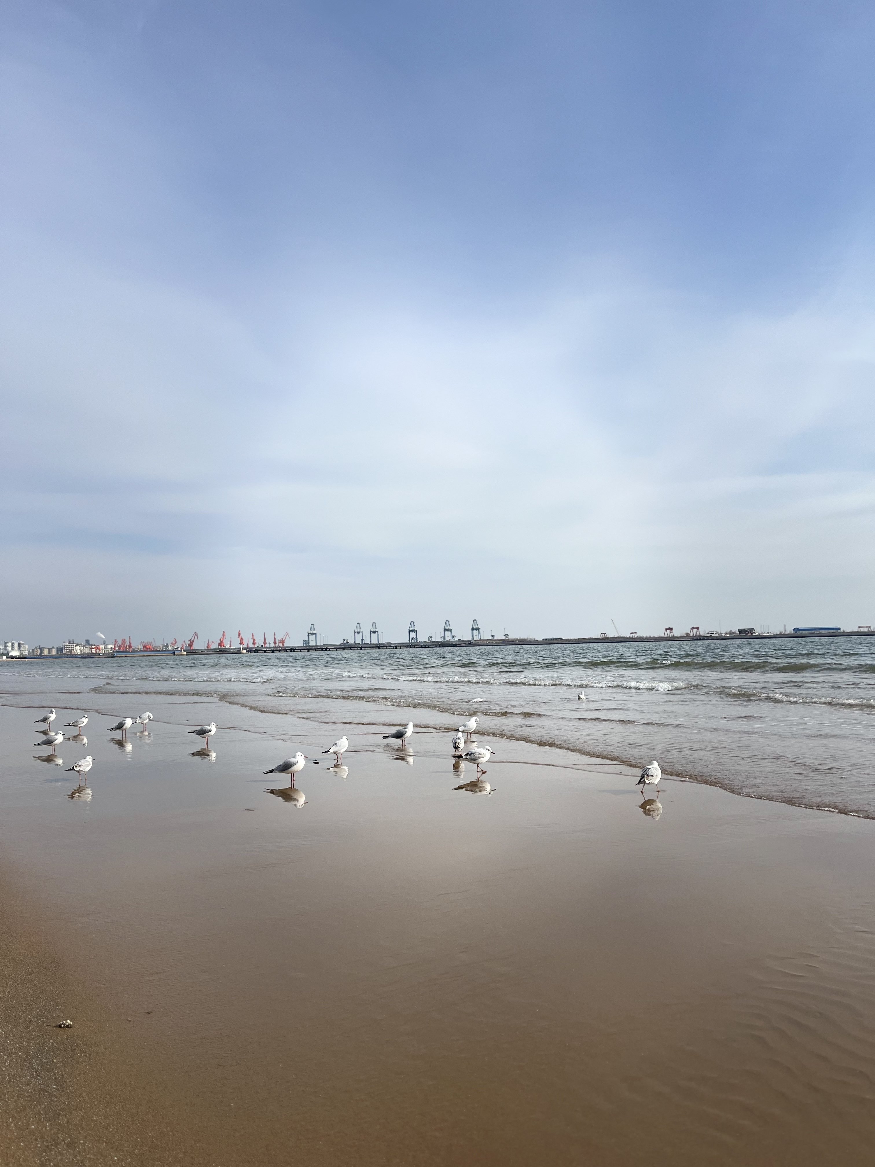 无论事业还是感情,不要怕正面竞争,不要怕挫败失望