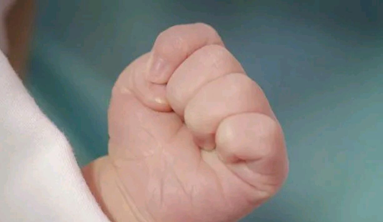 新生儿小手为何总是握拳头?与大脑发育有关?