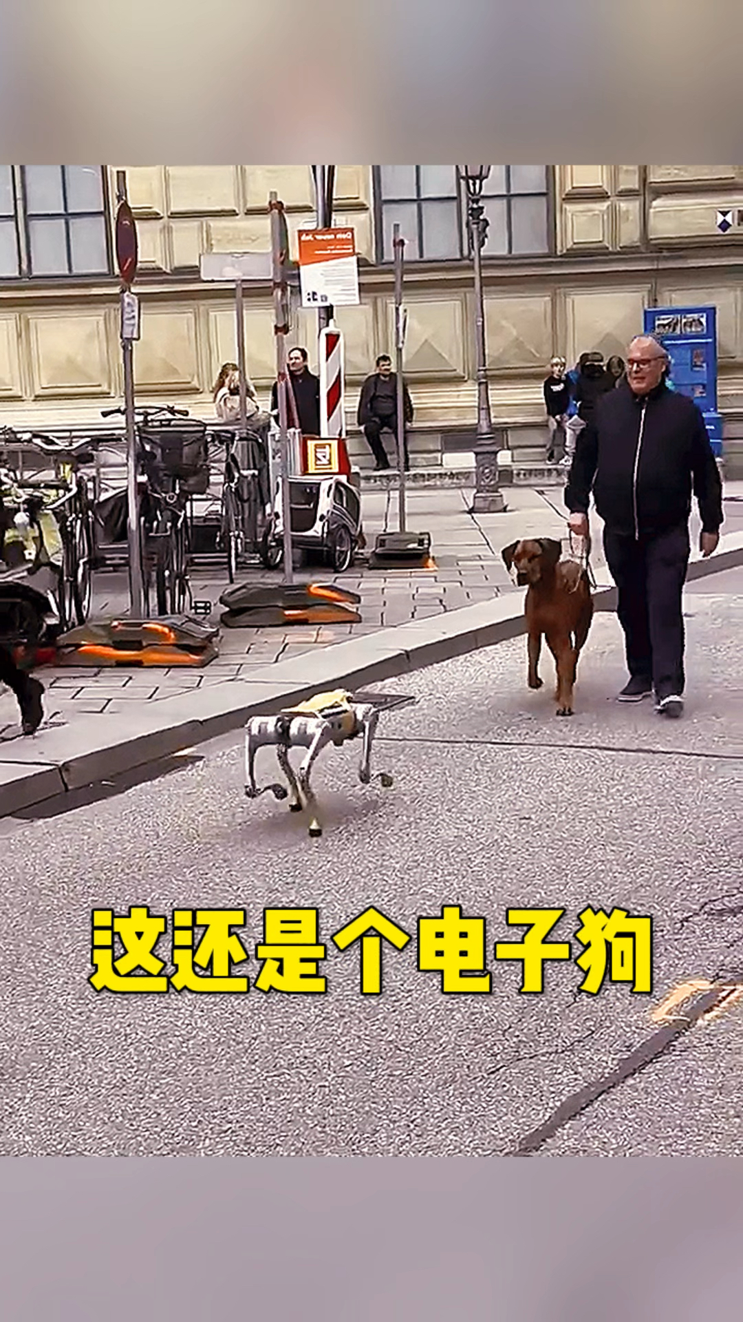 这还真是个电子狗呀