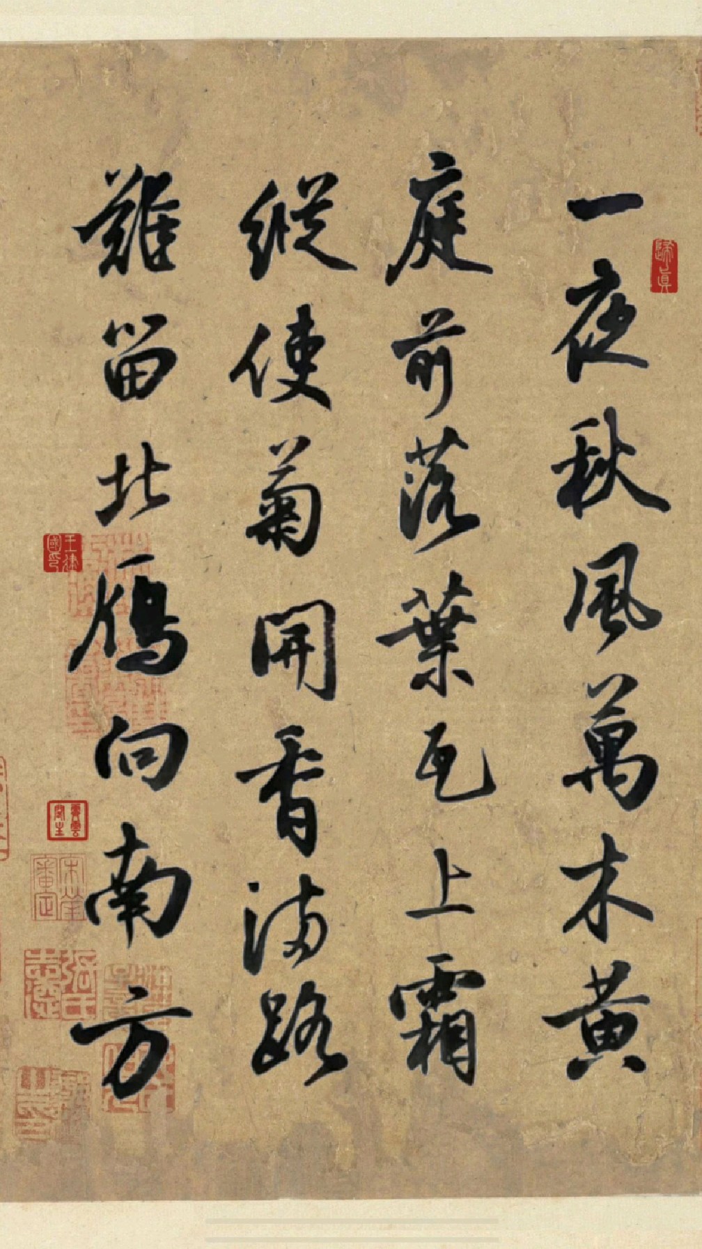 一夜秋风万木黄,庭前落叶瓦上霜.#原创书法作品#行书#古诗词