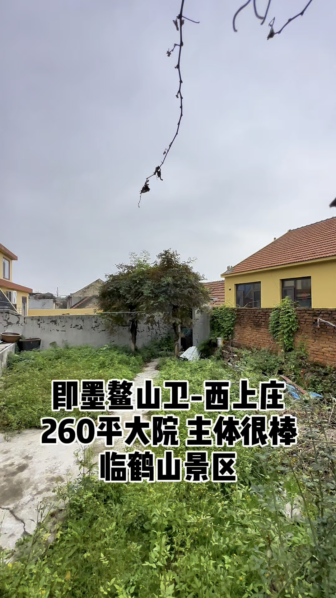 即墨鳌山卫西上庄260平大院子,寻有缘人来改造.