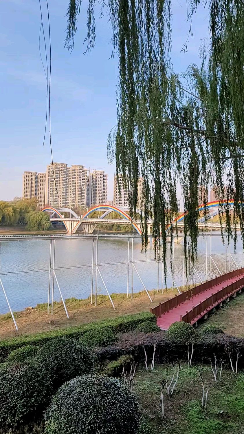 漯河远看彩虹桥风景