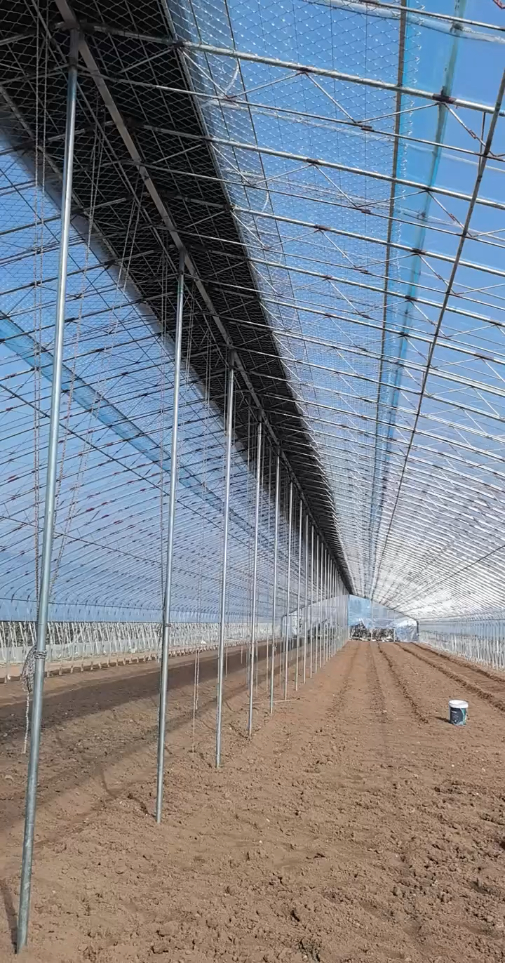 种植大棚椭圆管骨架